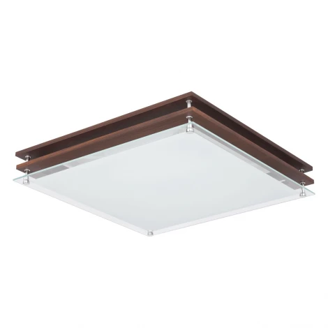 Потолочный светильник MW-Light Эдгар 408011106