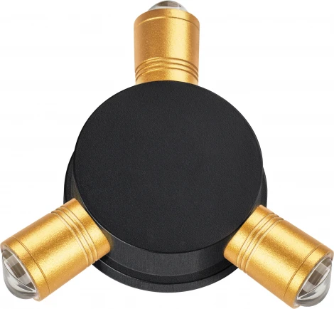 Уличный настенный светодиодный светильник Lightstar Dito 380633 (220V, IP65)