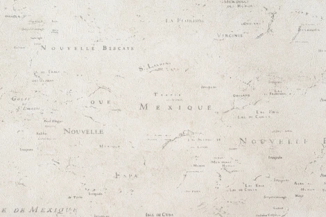 Обои виниловые Артекс Nature Inspiration 10230-04 10,05 x 1,06 м