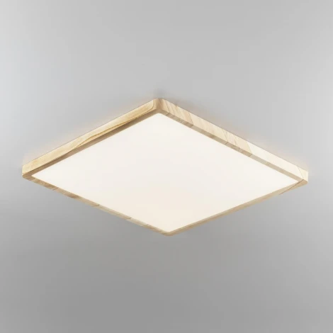 Настенно-потолочный светильник Citilux Бейсик CL738K502V (регулировка яркости, LED, 220V, IP40)