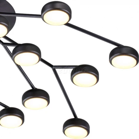 Потолочная люстра Odeon Light Stardust 3865/80CL