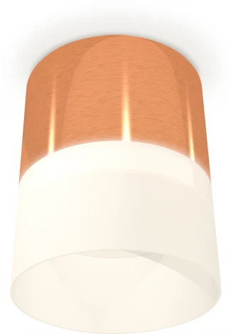 Накладной точечный светильник Ambrella Techno Spot XS8122011 (круглые)