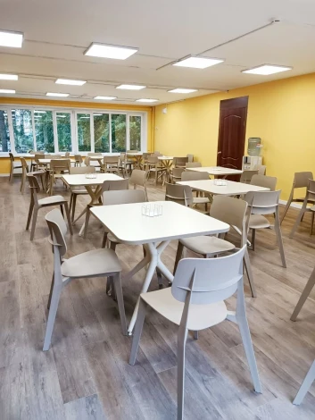 Стул Sheffilton SHT-S110-P капучино/капучино от фабрики Sheffilton