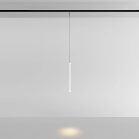 Трековый светильник магнитный 3W 24V Maytoni Skim TR191-1-3W3K-M-BW (LED, круглые)