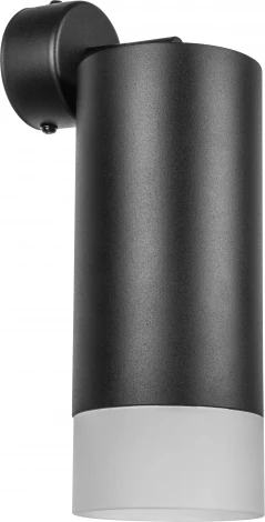 Спот Lightstar Rullo RB648781 (220V)