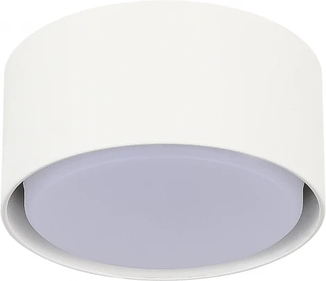 Светильник потолочный ST Luce ST164.502.01 Белый GX53 1*50W 220V