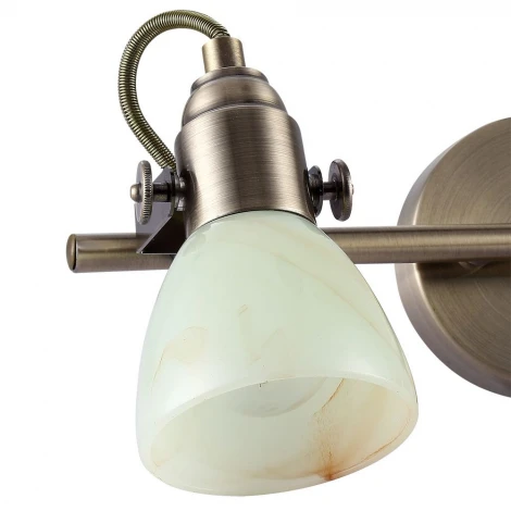 Спот Arte Lamp Tulip A9582AP-2AB