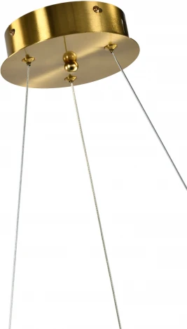 Подвесной светильник LED Zortes Mon ZRS.1210.60 (220V, на тросе, круглые)