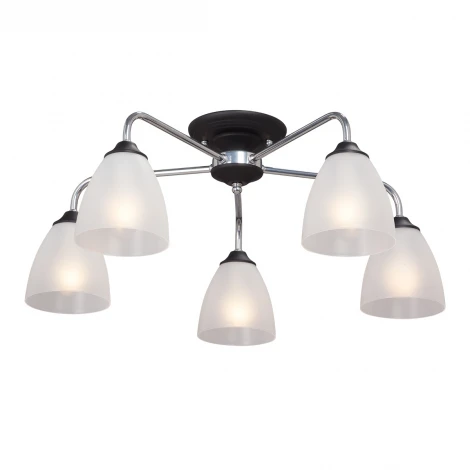 Потолочная люстра Vitaluce V3946-1/5PL (220V)