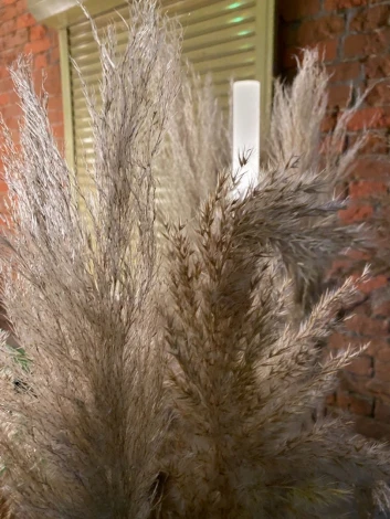 Наземный уличный светильник Камыш LD-RD001 (220V, IP65)