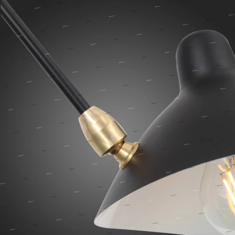 Потолочная люстра ST Luce Spruzzo SL305.402.06 (220V)