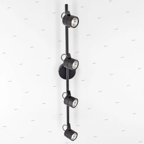 Спот на штанге Citilux Ринг CL525542 (220V, круглые)