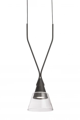 Подвесной светильник Maytoni Hilo P063PL-01B