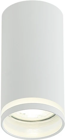 Потолочный светильник круглый ESTELA IL.0005.2000 WH (220V)