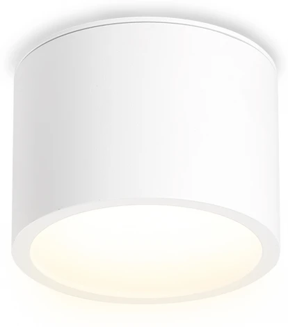 Накладной точечный светильник Ambrella Techno Spot TN6550 (220V, круглые, IP44)