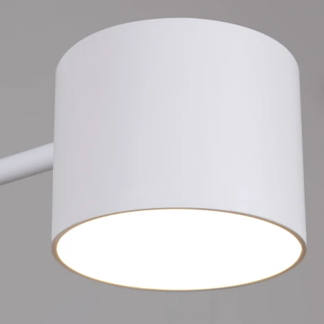 Потолочная люстра на штанге Reluce 47206-0.3-06WT