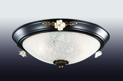 Настенно-потолочный светильник Odeon Light Bone 2693/3C