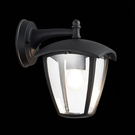 Настенный фонарь уличный ST Luce Sivino SL081.411.01