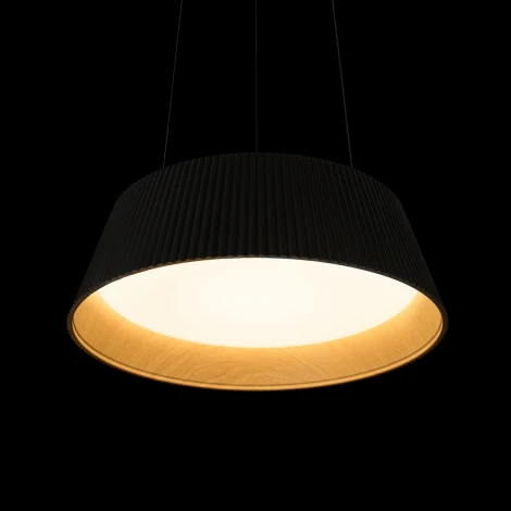 Подвесной светильник Loft It Evans 10224P Black (LED, 220V, на тросе, круглые)