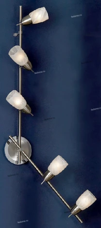 Настенно-потолочный светильник Lussole Cevedale LSQ-6909-05