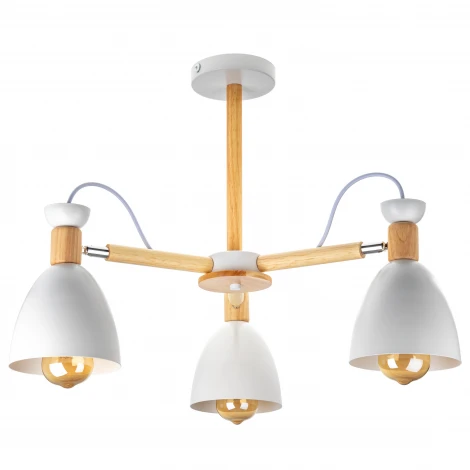 Потолочная люстра на штанге Ritter Volante 52594 3