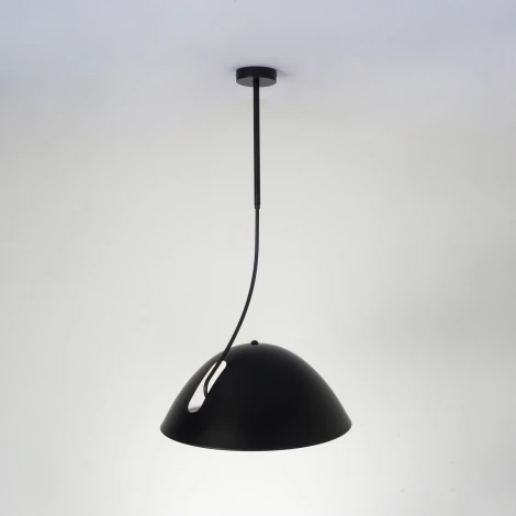 Подвесной светильник Zortes Korkee ZRS.1802.50 (220V, IP21)