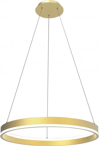 Подвесной светильник светодиодный Lightstar Rotonda 736412 (220V, на тросе)