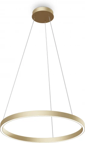 Подвесной светильник Maytoni Rim MOD058PL-L32BSK (LED, 220V, на тросе, кольцо)