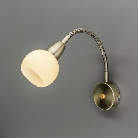 Настенный светильник Citilux Бонго CL516313