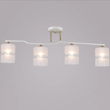 Потолочная люстра на штанге Reluce 02283-0.3-04 WT+FGD (220V)