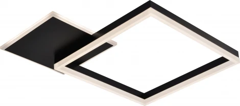 Потолочная люстра светодиодная с пультом регулировкой цветовой температуры и яркости Rivoli Sandra 6146-101