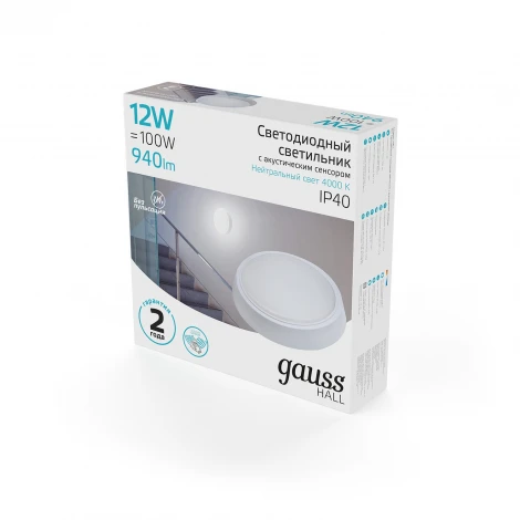 Настенно-потолочный светильник светодиодный Gauss 193411212-OAS