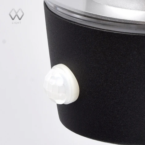 Настенный фонарь уличный DeMarkt Меркурий 807021901