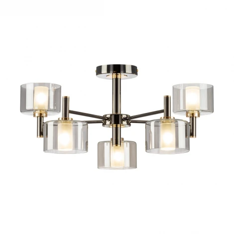 Потолочная люстра на штанге Citilux Elan CL241151 (220V)