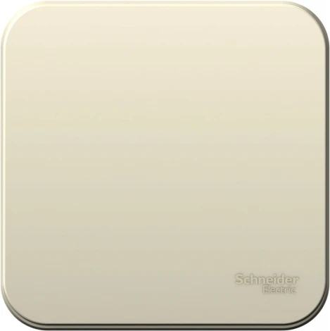 Выключатель накладной одноклавишный (молочный) Systeme Electric Blanca BLNVA101012