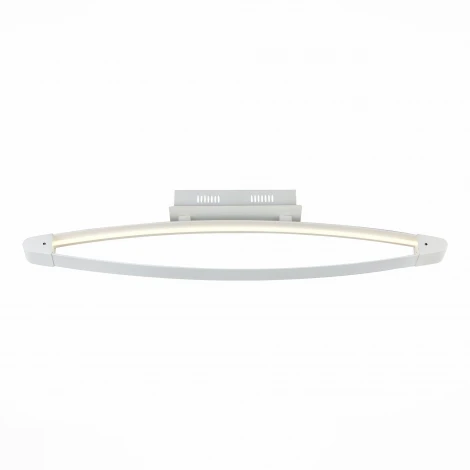 Потолочный светильник уличный ST Luce Orione SL920.102.01 (LED, 220V)