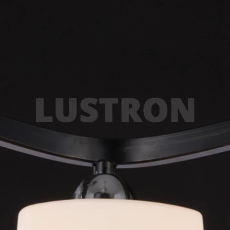 Потолочная люстра Maytoni Eurosize 6 TOC006-03-N