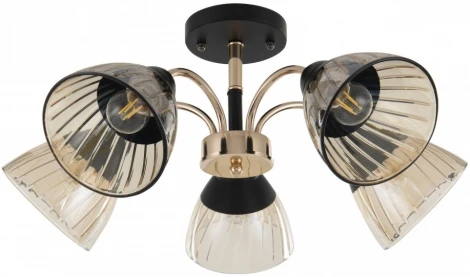 Потолочная люстра на штанге Arte Milano Napoli 320119/5 FG+BK (220V)