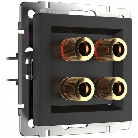 Акустическая розетка (черный матовый) Werkel W1185008 (a051614)