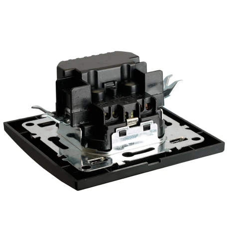 Розетка с заземлением и USB Type A+С (черный) Stekker Эрна 50078