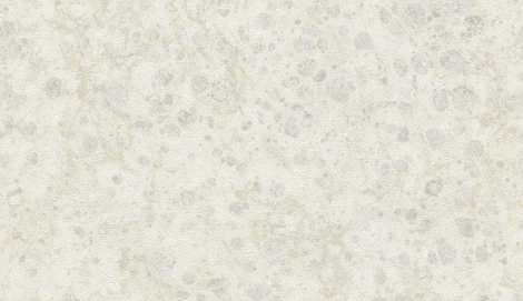 Обои виниловые Marburg Platinum 31025 10,05 x 0,7 м