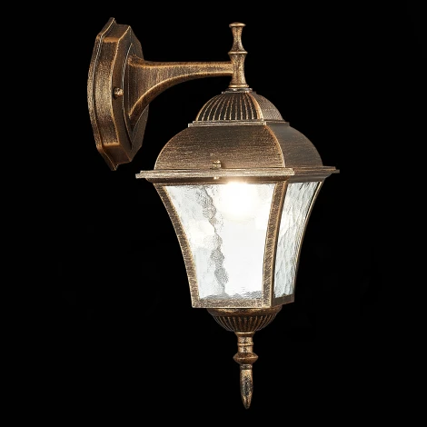 Настенный фонарь уличный ST Luce Domenico SL082.211.01