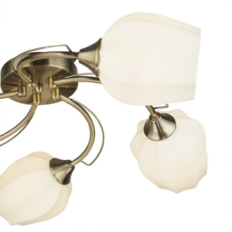 Потолочная люстра Wedo Light Shajena 66593.01.05.05