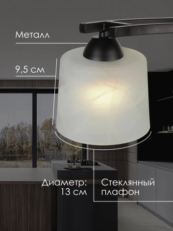 Потолочная люстра на штанге Мелодия Света 000061926