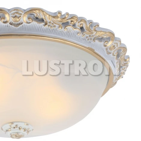 Потолочный светильник Arte Lamp Torta A7152PL-2WG