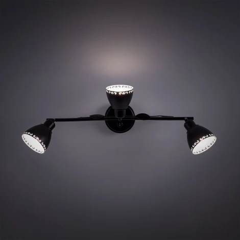 Спот Citilux Робуста CL509532