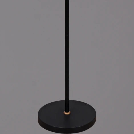 Торшер Reluce 00301-0.6-01D BK (220V)