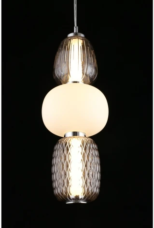 Подвесной светильник Aployt Oliwcia APL.319.06.29 (LED, 220V, на тросе)