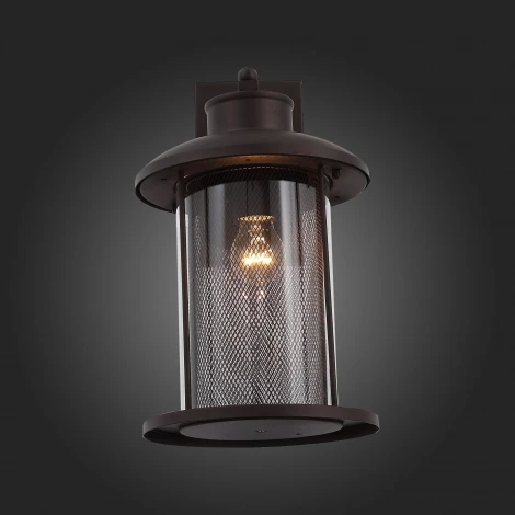 Настенный фонарь уличный ST Luce Lastero SL080.401.01 (220V, IP54)