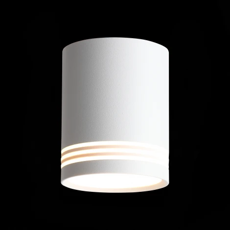 Накладной точечный светильник ST Luce Cerione ST101.502.12